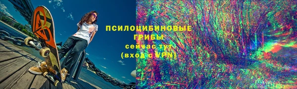 apvp Лагань