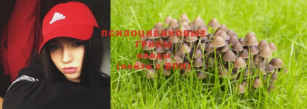 прущая мука Пенза