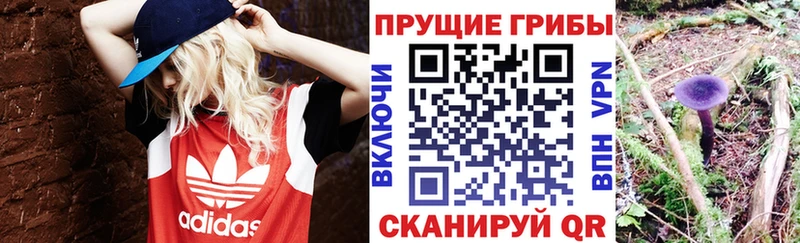 Псилоцибиновые грибы MAGIC MUSHROOMS  хочу наркоту  маркетплейс состав  Мурманск 