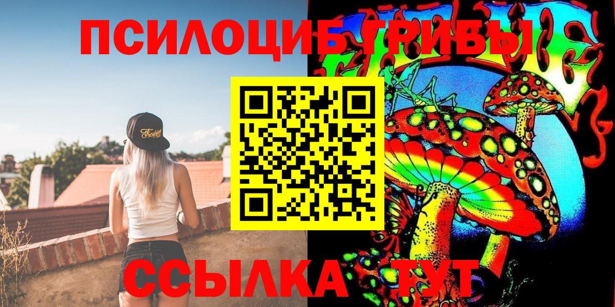 Псилоцибиновые грибы прущие грибы Мурманск