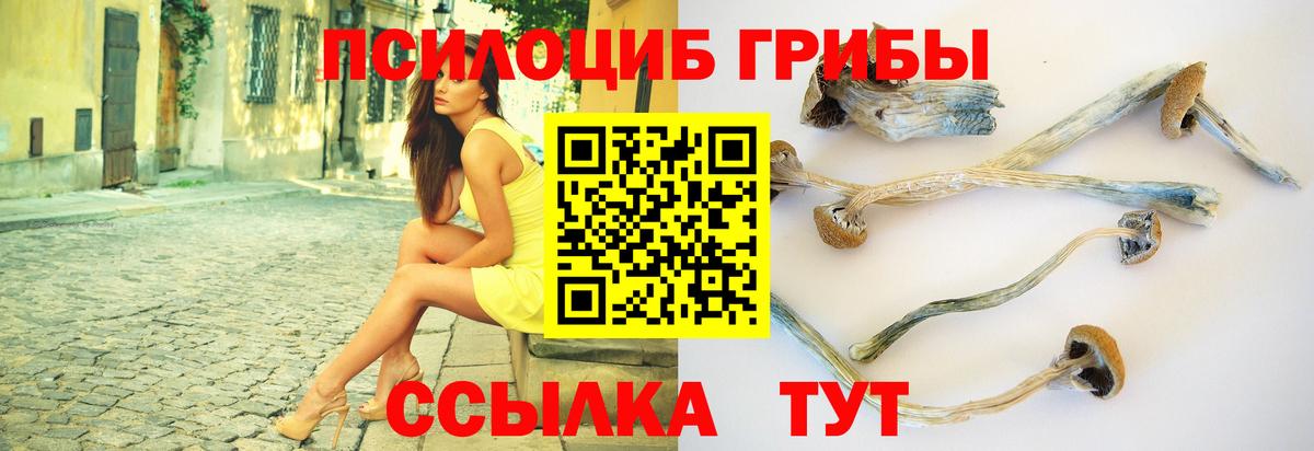 закладка  Галлюциногенные грибы прущие грибы  Вход с VPN  Мурманск 
