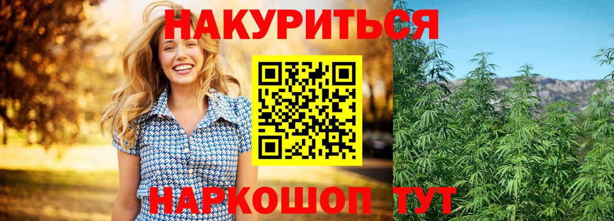 Мурманск  Бошки Шишки SATIVA & INDICA  Вход с VPN  Бошки марихуана семена  Бошки Шишки сатива 
